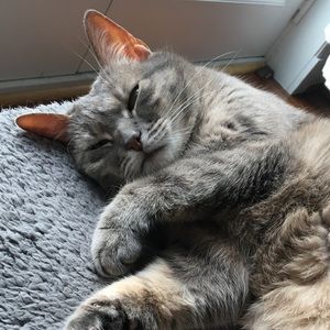 Meet your Posher, Tina